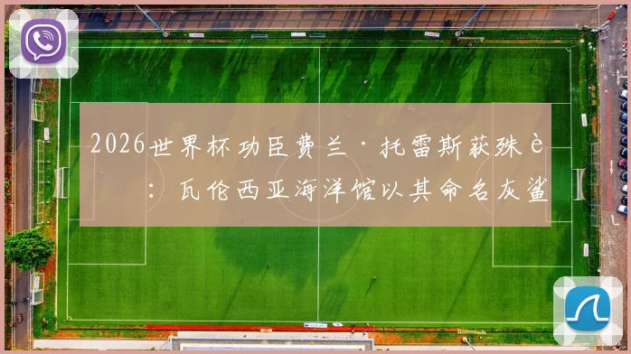 2026世界杯功臣费兰·托雷斯获殊荣:瓦伦西亚海洋馆以其命名灰鲨,球星独特荣誉盘点