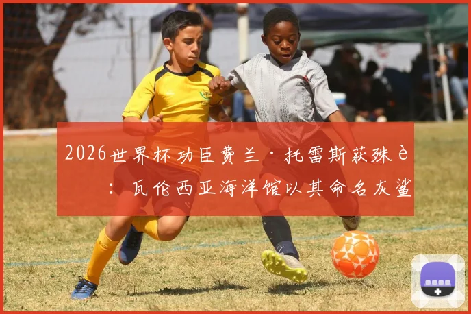 2026世界杯功臣费兰·托雷斯获殊荣：瓦伦西亚海洋馆以其命名灰鲨，球星独特荣誉盘点